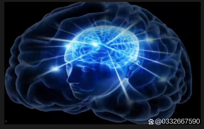 “崩老头”深度调查：8090后成猎物更让人心惊的是“甘愿上当”